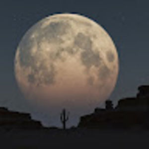 Meet your Posher, Amir